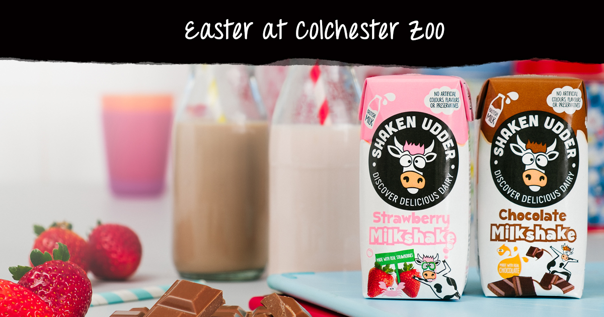 Easter-Colchester-zoo-blog-image.jpg