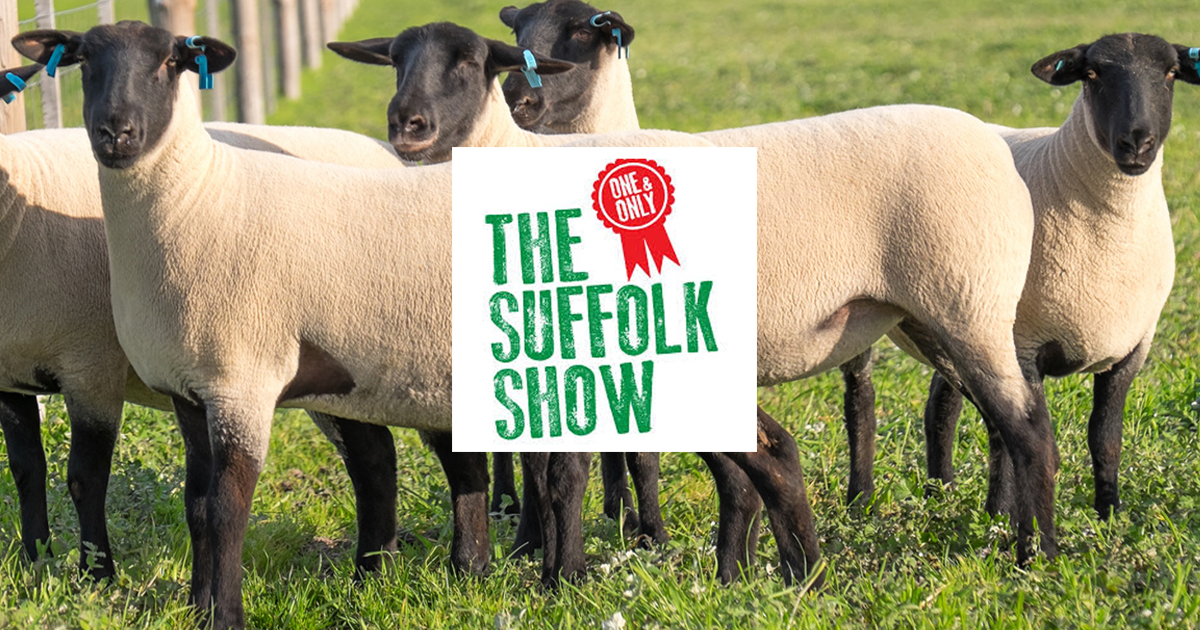 Suffolk-show-use-this-image.jpg